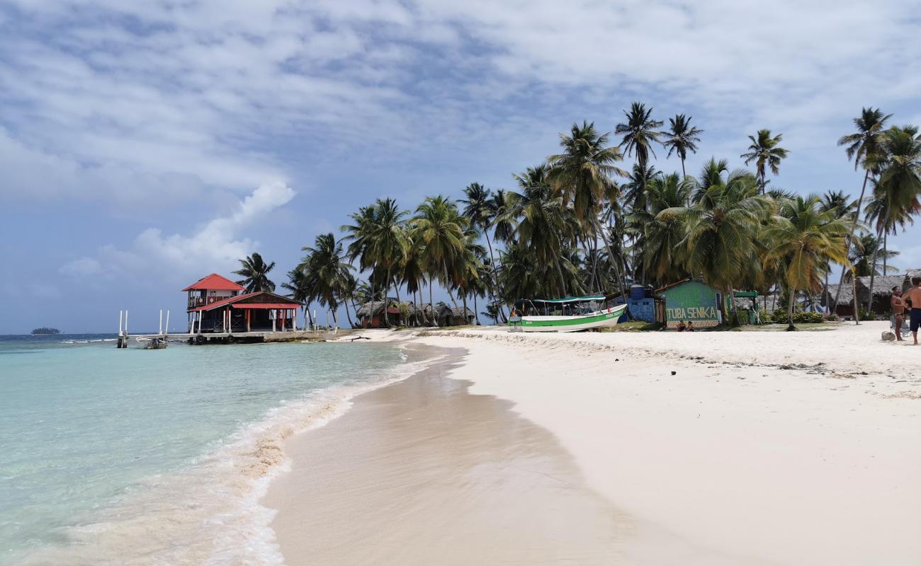 Photo de Islas Franklin Beach avec sable beige fin de surface