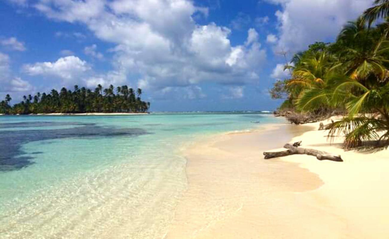 Photo de Iguana island beach avec sable fin blanc de surface