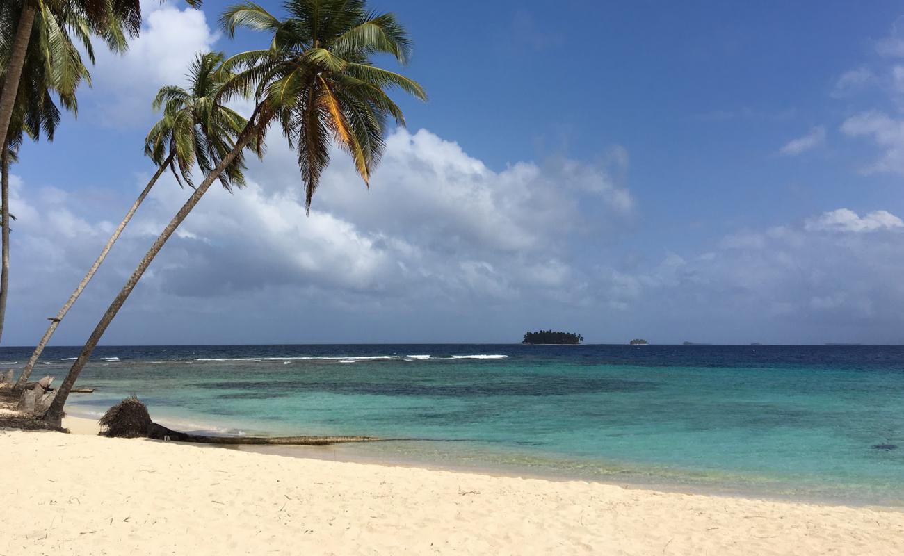 Photo de Guna Yala Gulf island avec sable blanc de surface