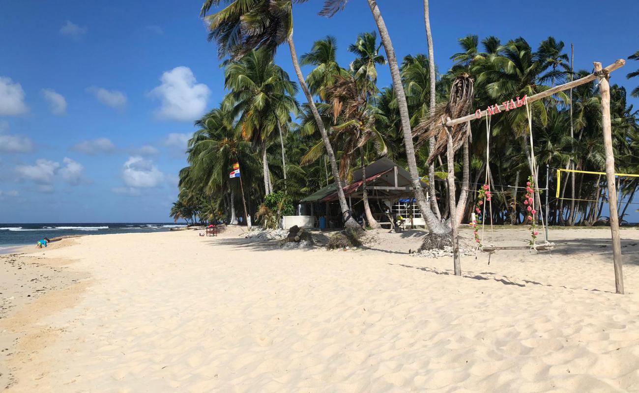 Photo de Grassland Island beach avec sable fin blanc de surface