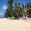 Grassland Island beach