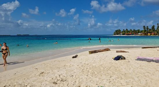 Plage de l'île du Dog