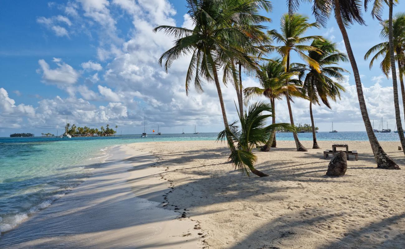 Photo de Plage de l'île du Big Dog avec sable fin blanc de surface