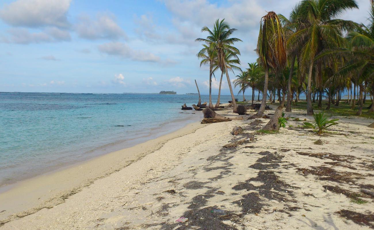 Photo de Curvaceous beach avec sable fin blanc de surface