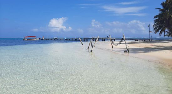 Plage de l'île Yani