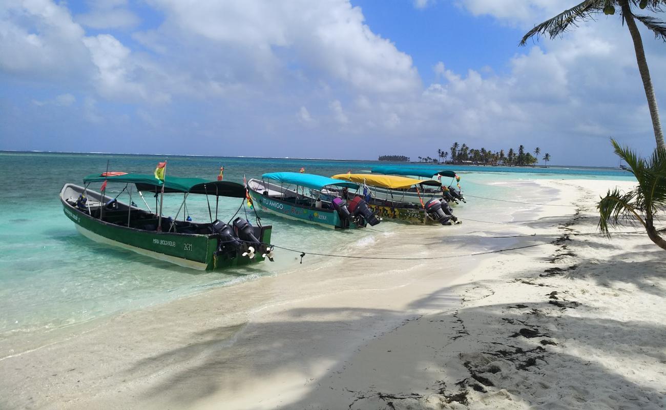 Photo de Plage de Needle Island avec sable blanc de surface