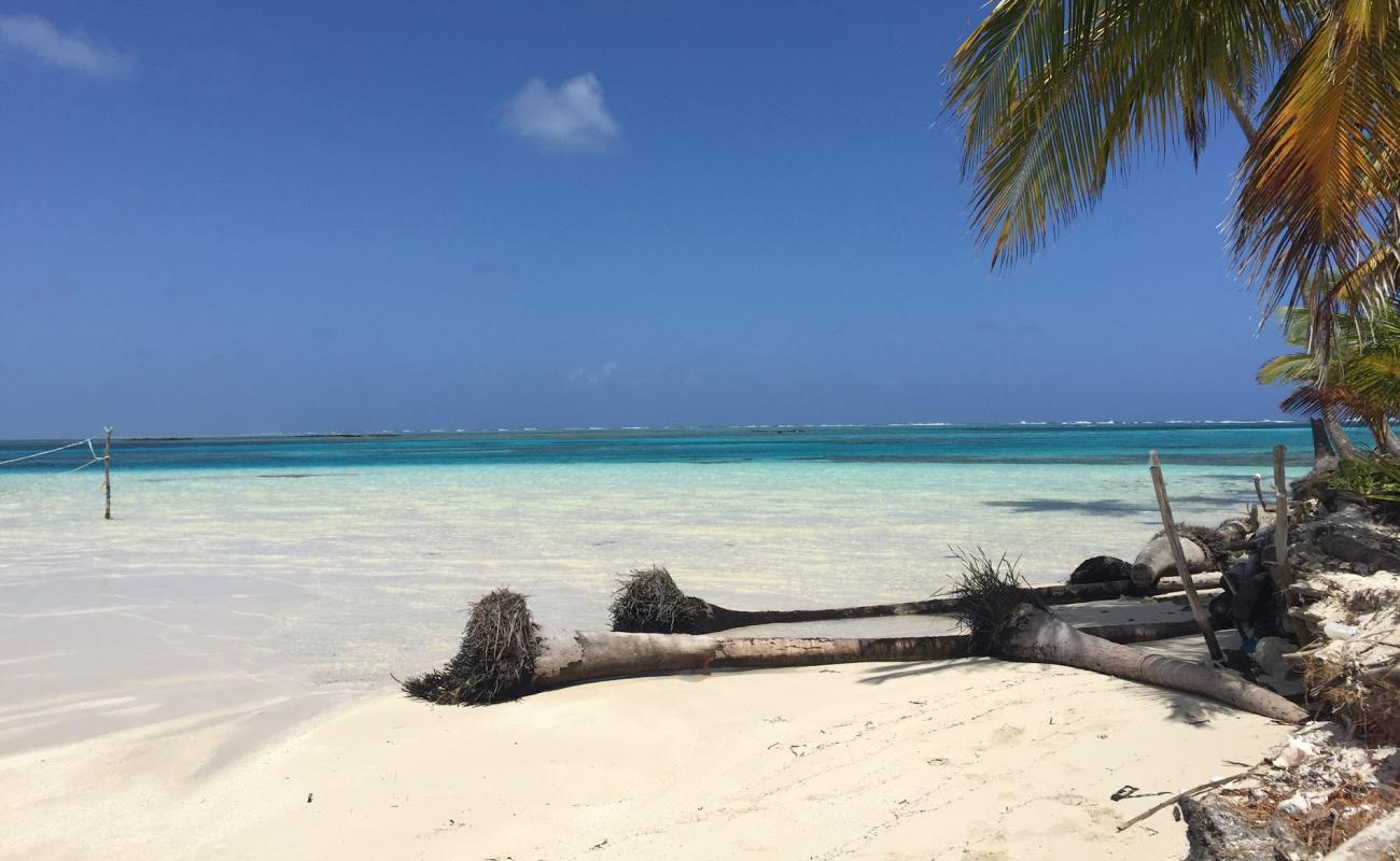 Photo de Turtle Island beach avec sable fin blanc de surface