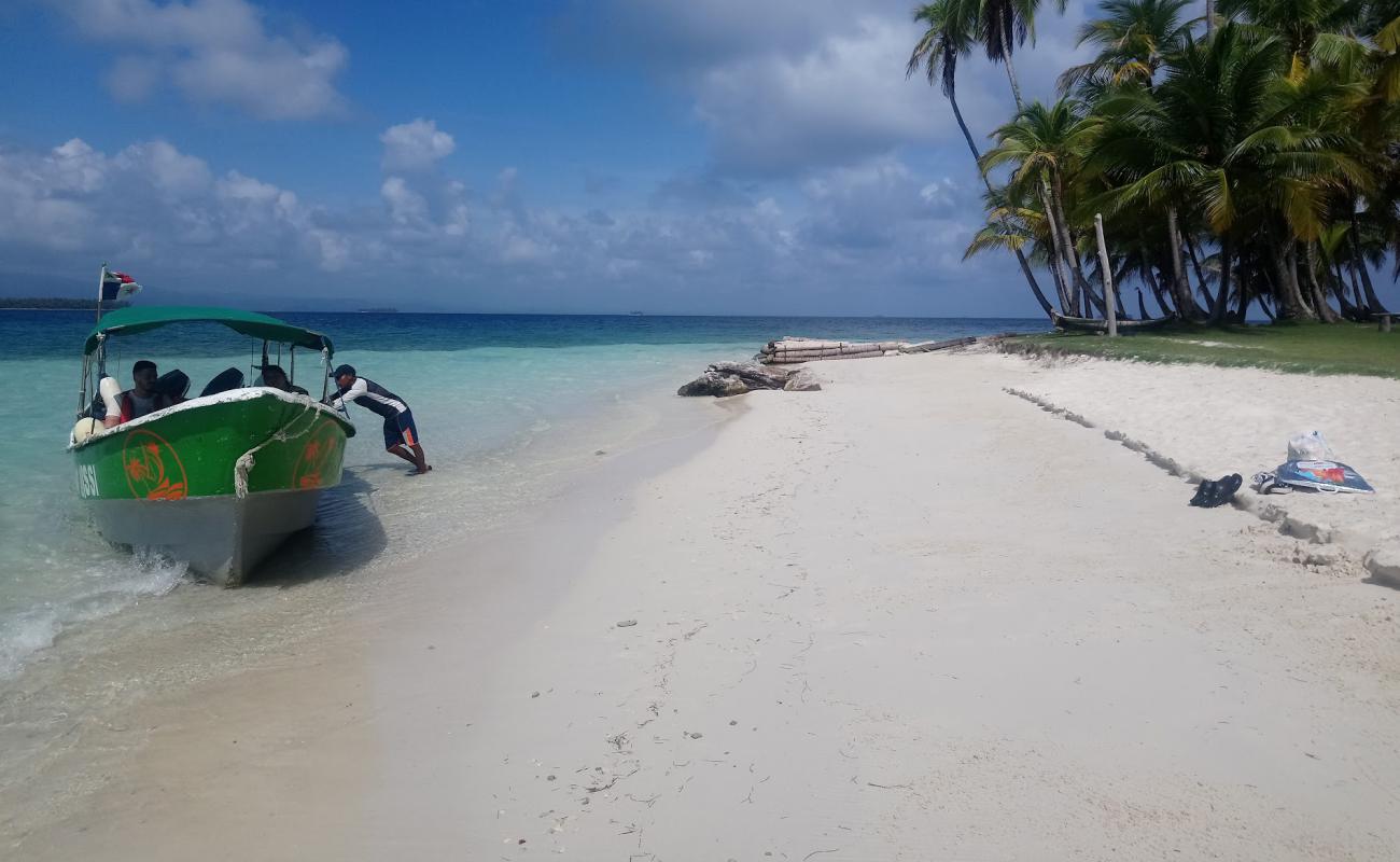 Photo de Lemon Island beach avec sable blanc de surface