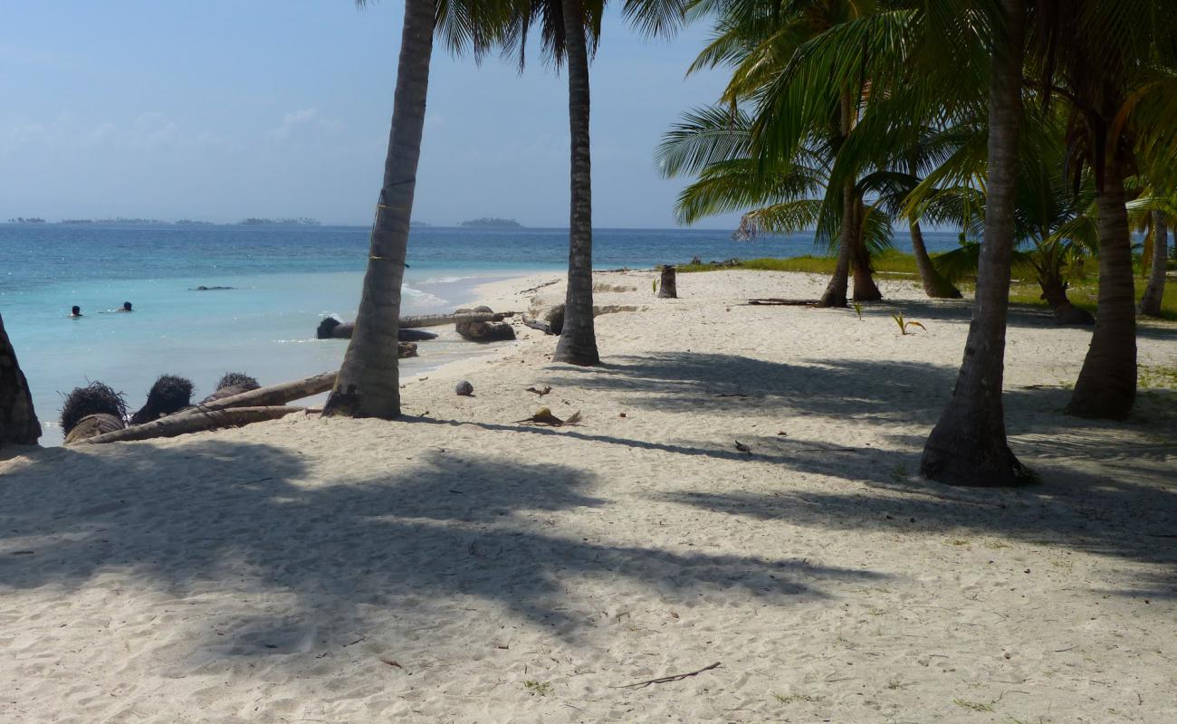 Photo de Saler beach avec sable blanc de surface