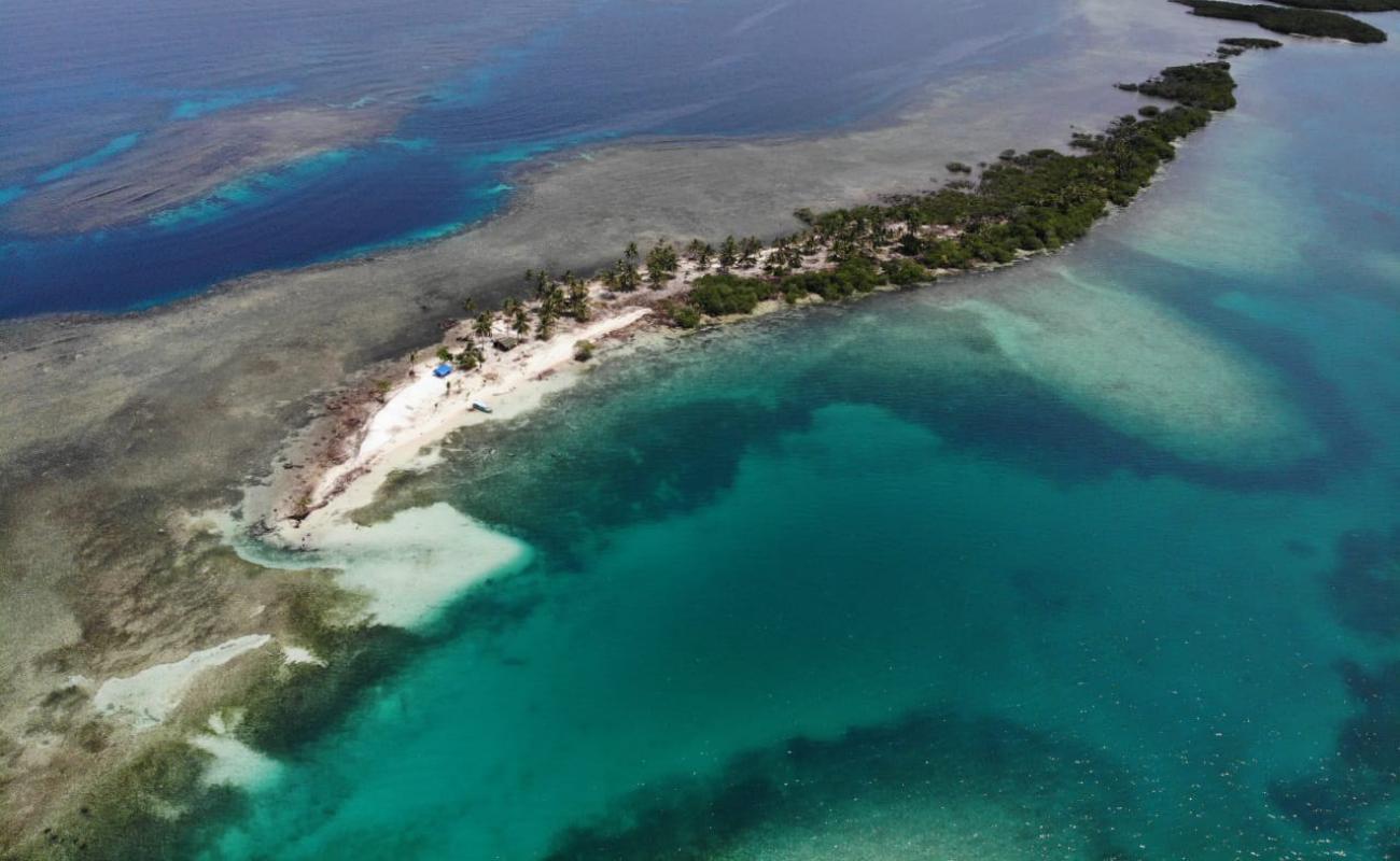 Photo de Coral Island beach avec sable blanc de surface