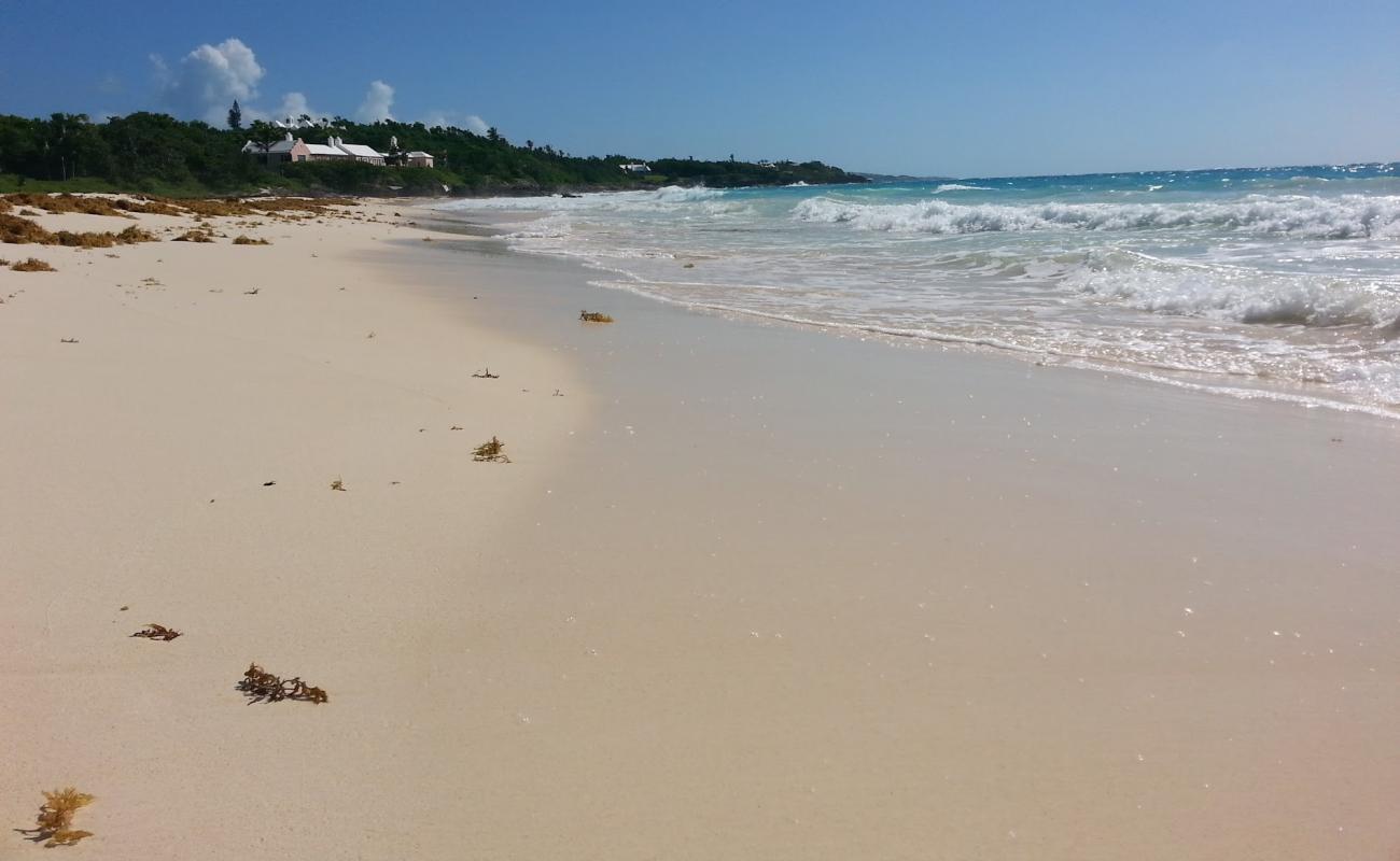 Photo de Grape Bay Beach avec sable fin et lumineux de surface