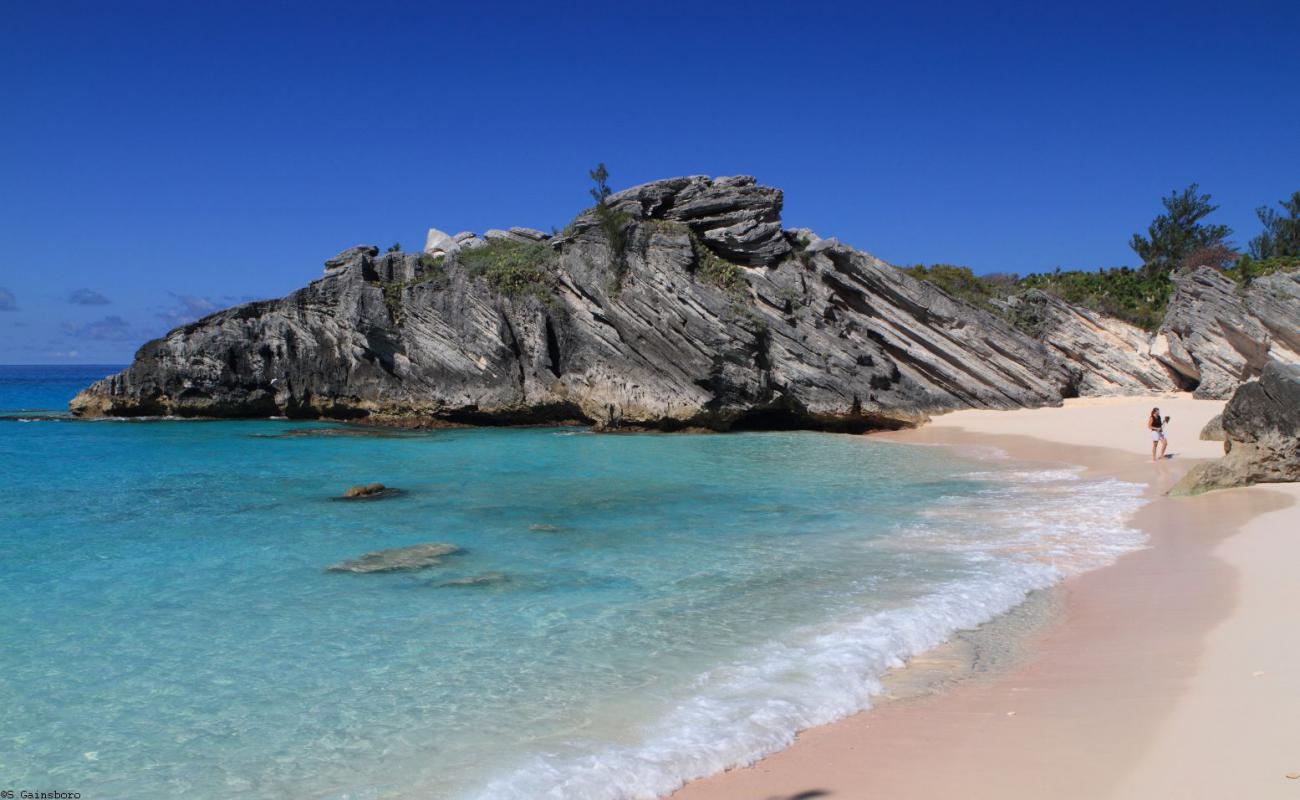 Photo de Elsbeth Beach avec sable fin et lumineux de surface