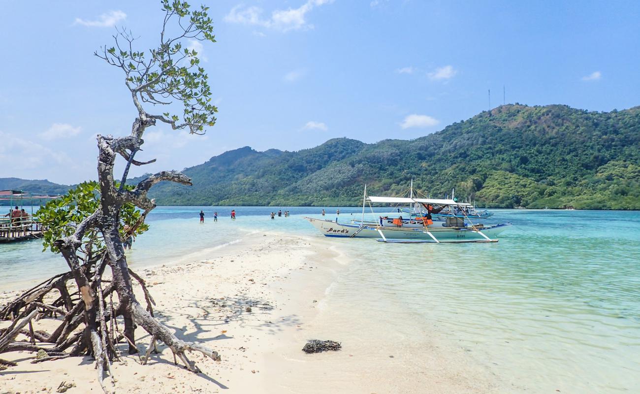 Photo de Snake Island Beach avec sable beige de surface