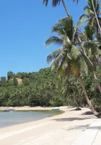 San Vicente