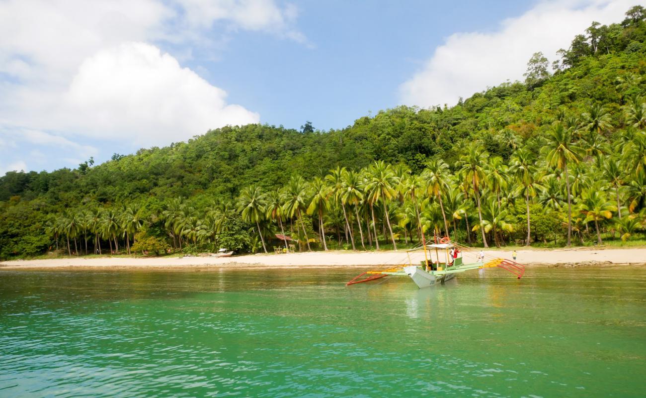 Photo de Love Rock Island Beach avec sable beige de surface