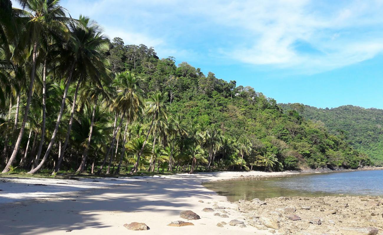Photo de The Sanctuary Cove avec sable beige de surface