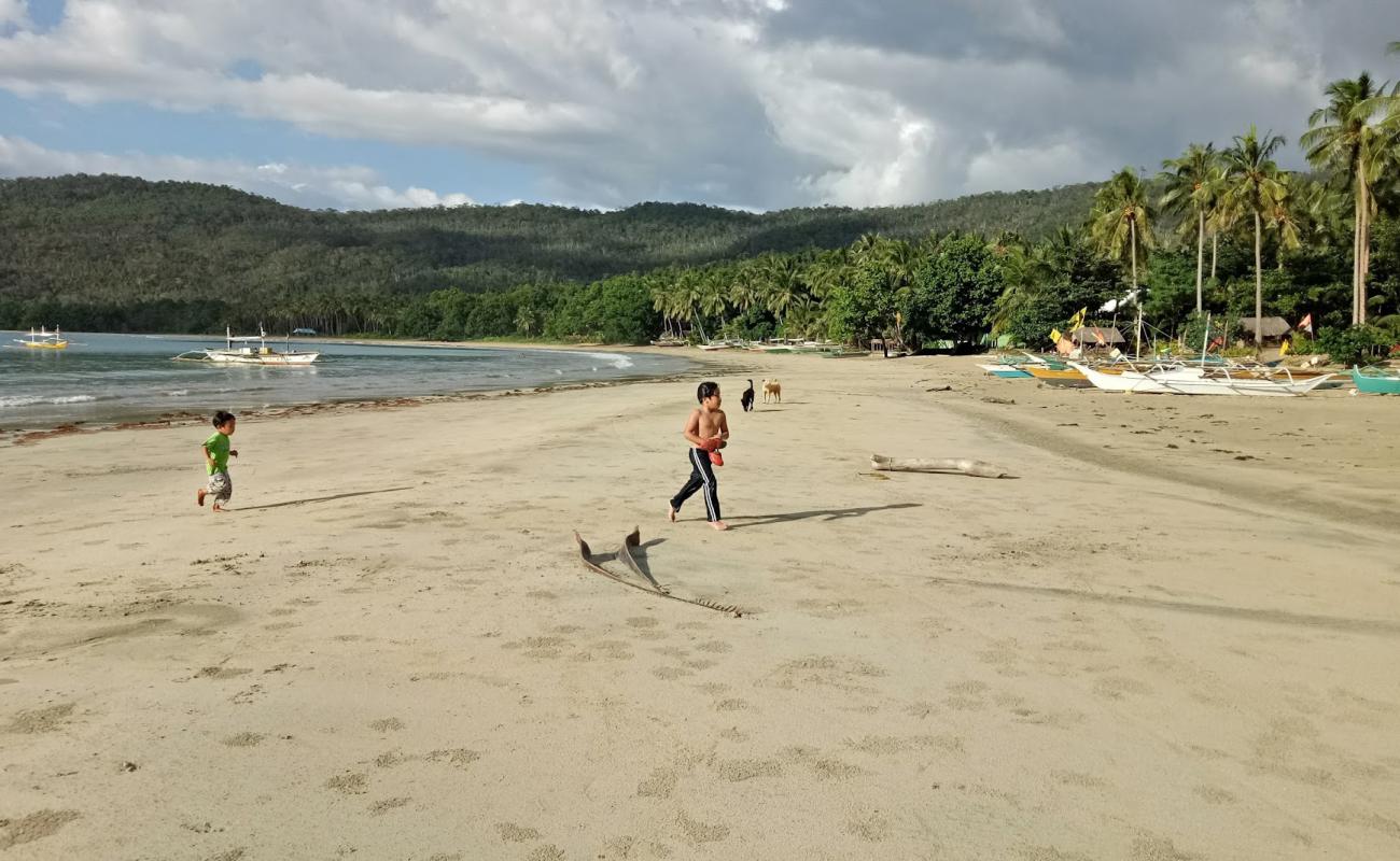 Photo de Talaudyong Beach avec sable beige fin de surface