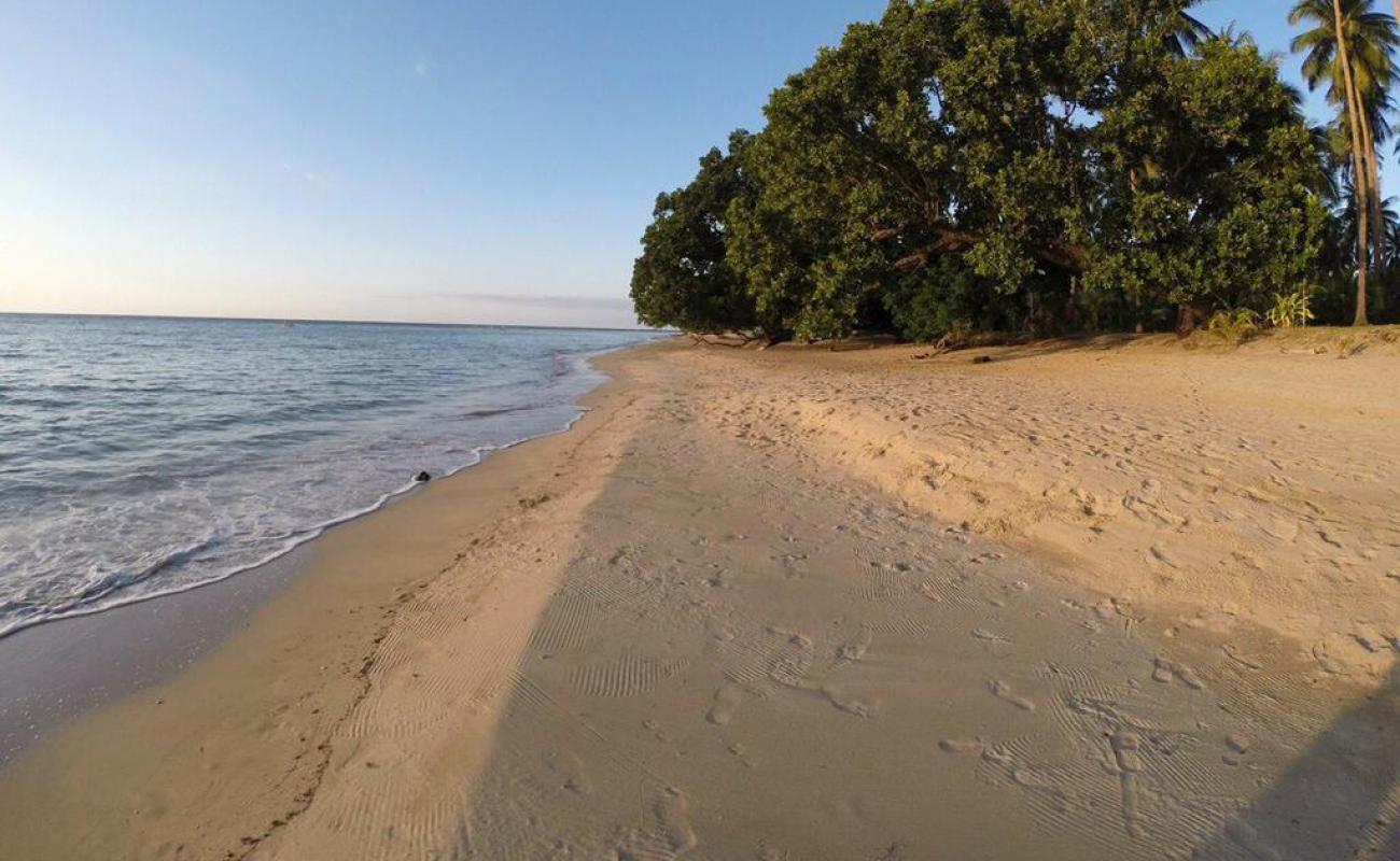 Photo de Glorie Beach avec sable beige fin de surface