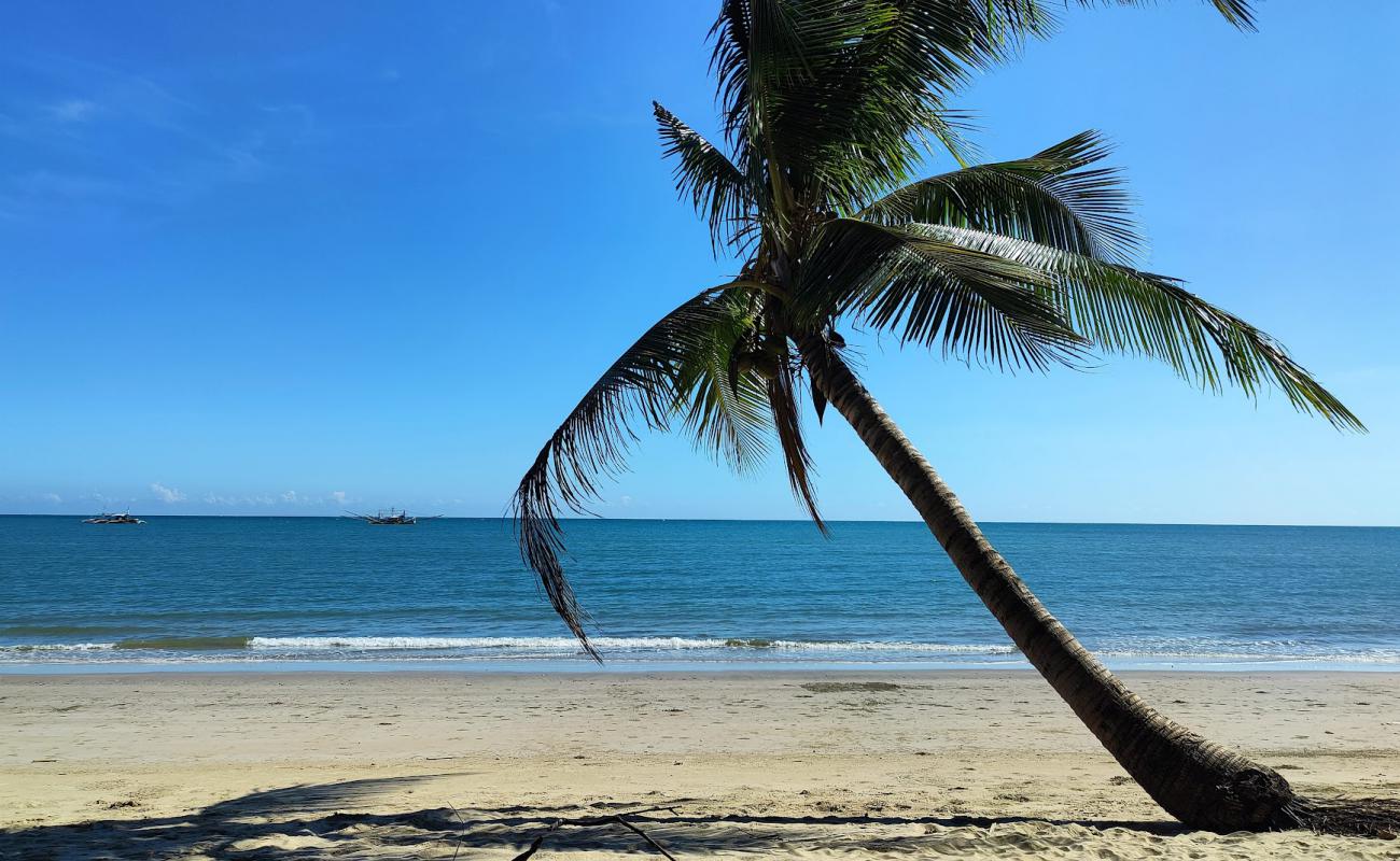 Photo de Sea Eagle Beach avec sable fin et lumineux de surface