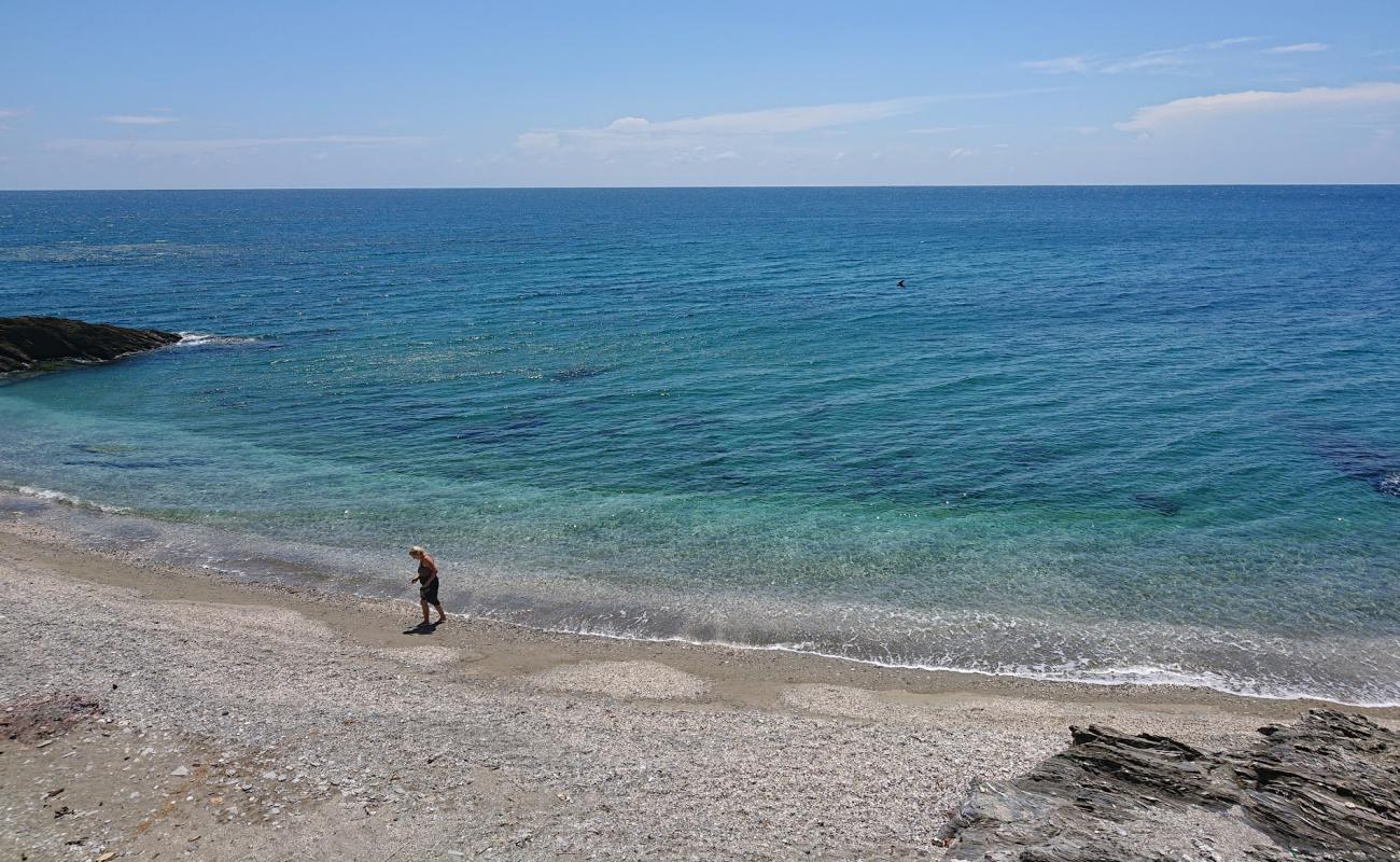 Photo de Campsite Thindog Beach avec galets gris de surface
