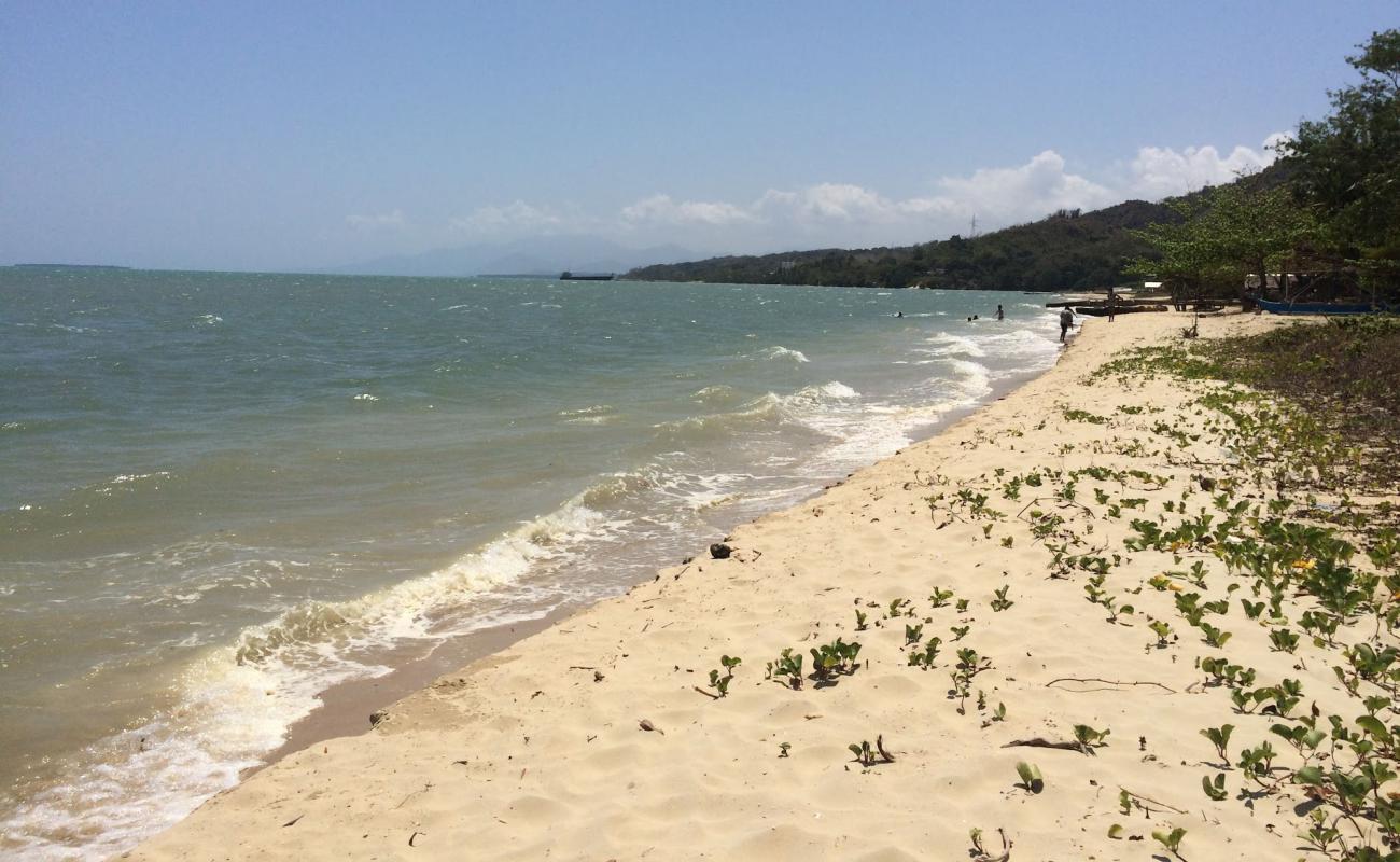 Photo de Coconut Beach avec sable beige fin de surface
