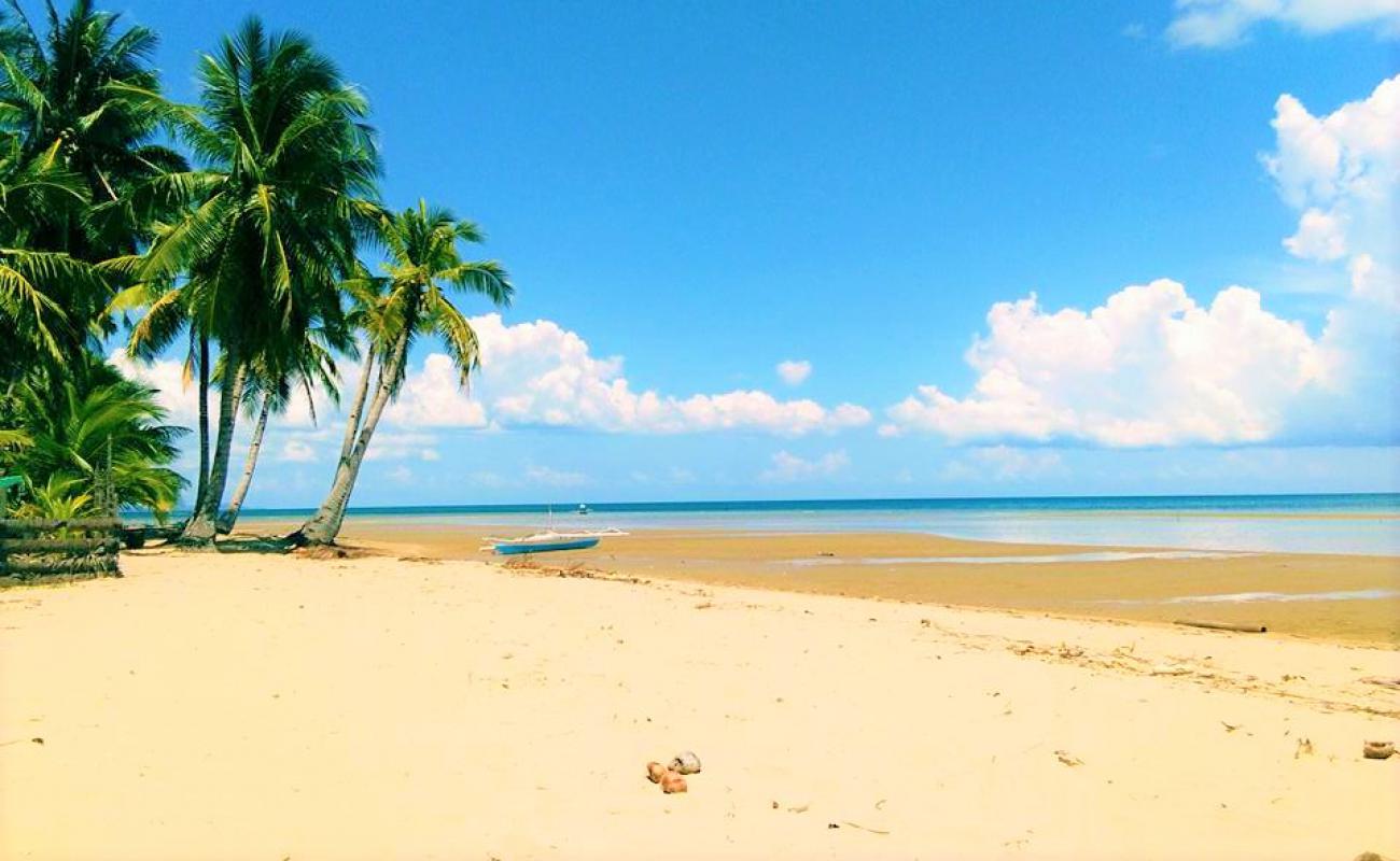 Photo de Salimbanog Beach avec sable beige fin de surface