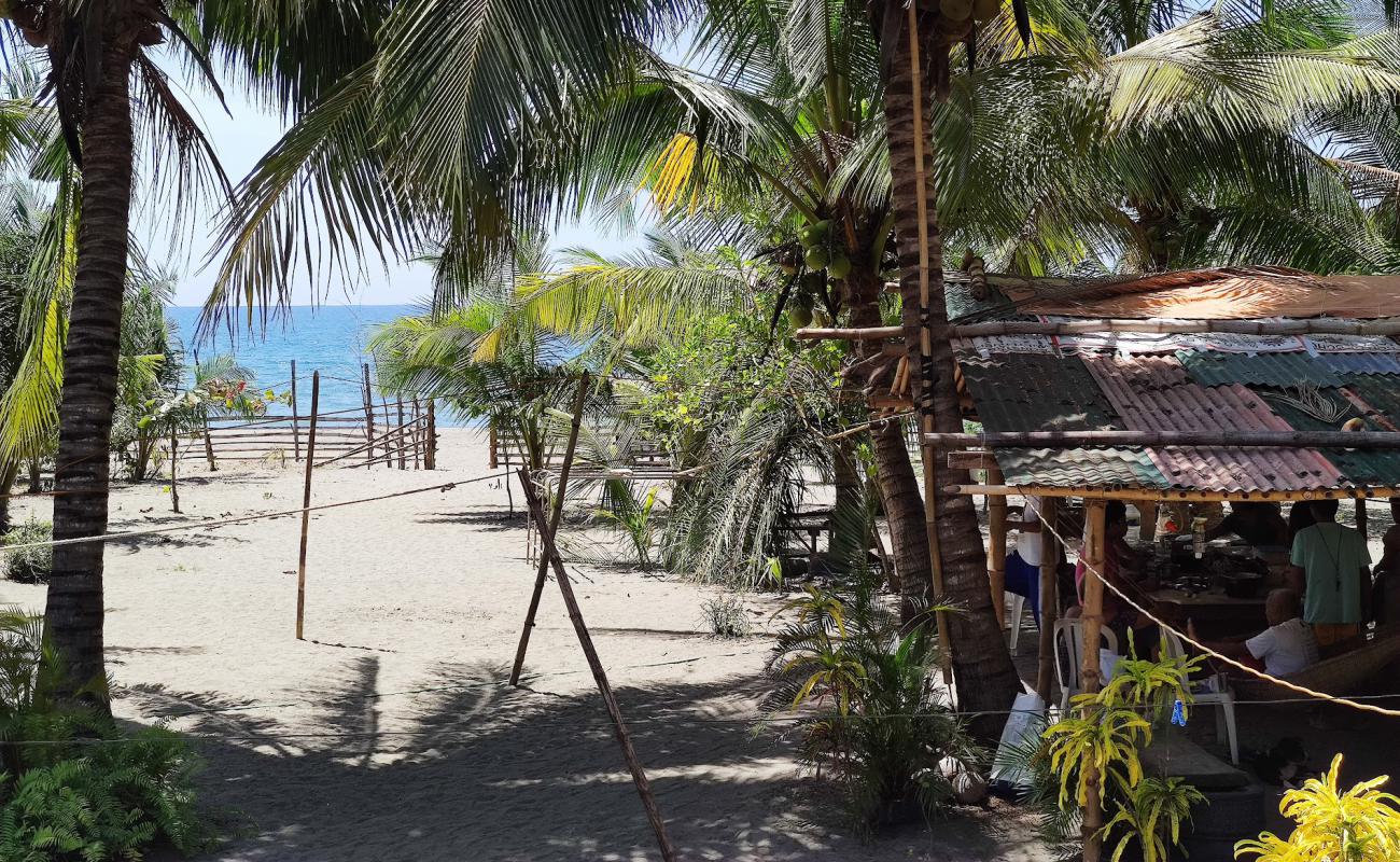 Photo de Mamburao Beach avec sable gris de surface