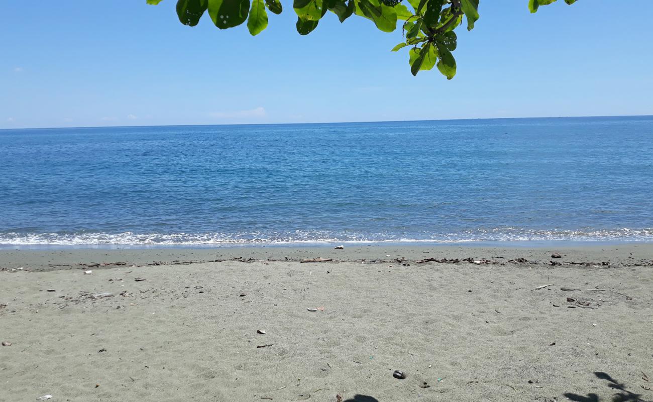 Photo de Banwa sang Cauayan Beach avec sable gris de surface