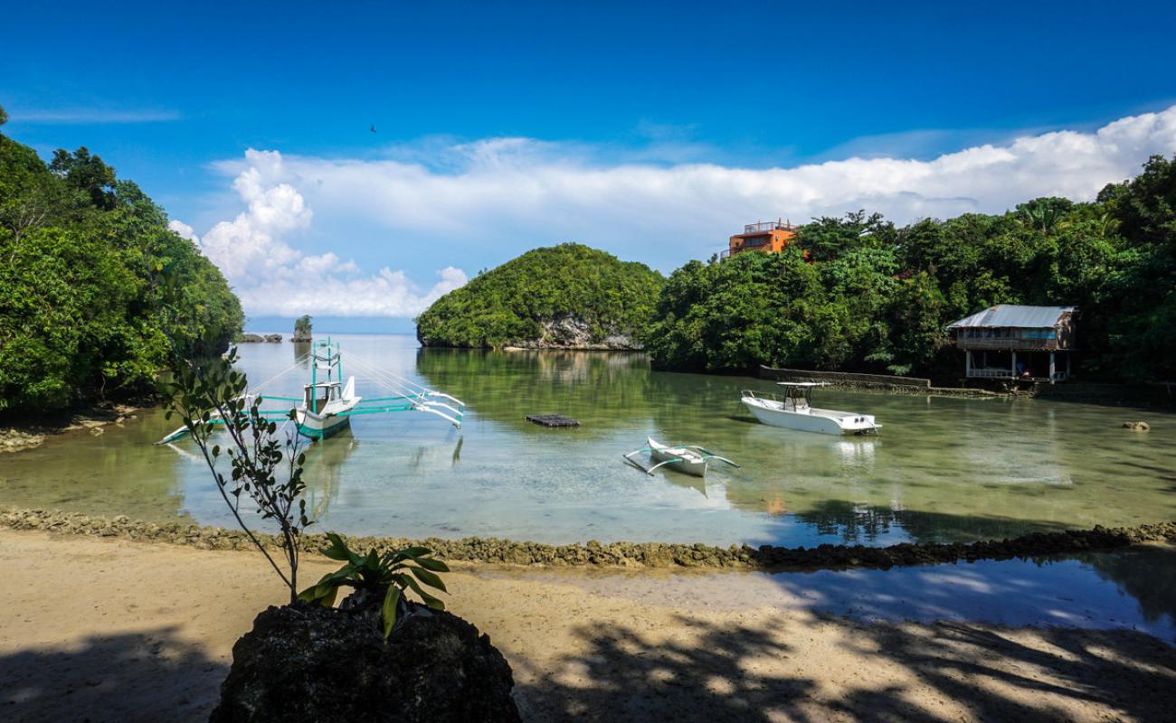 Photo de Tropical Mystique Beach avec sable lumineux de surface