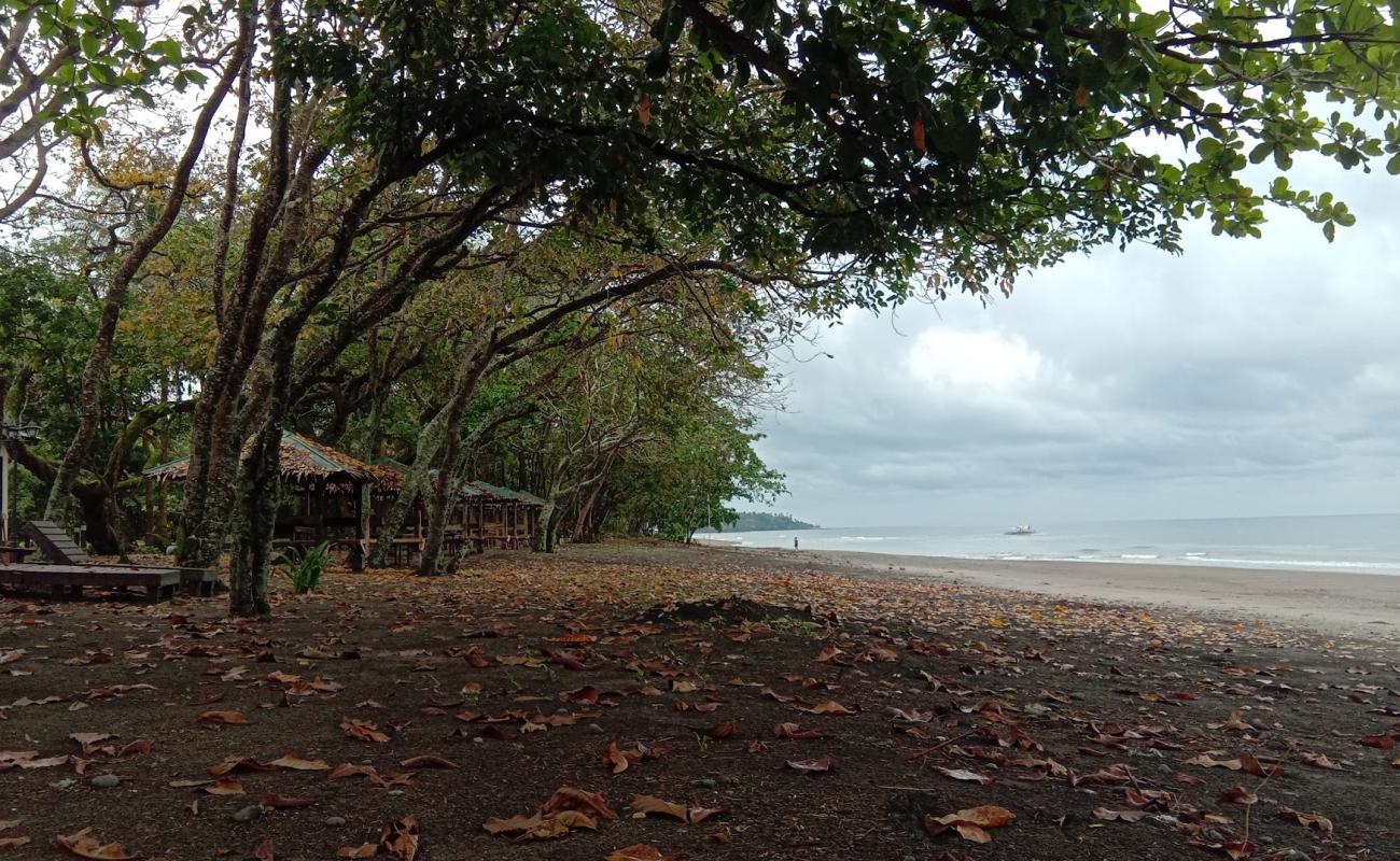 Photo de Nagbalaye Beach avec sable gris de surface