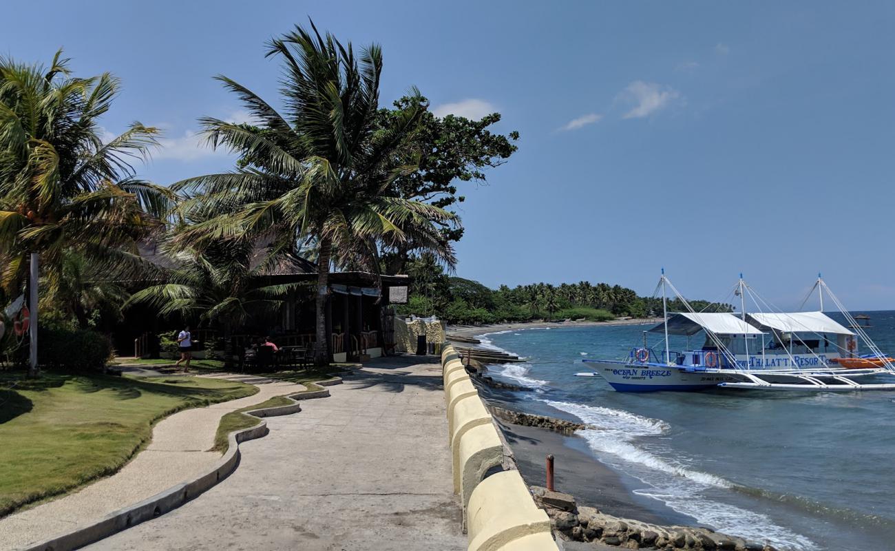 Photo de Zamboanguita Beach avec sable gris de surface