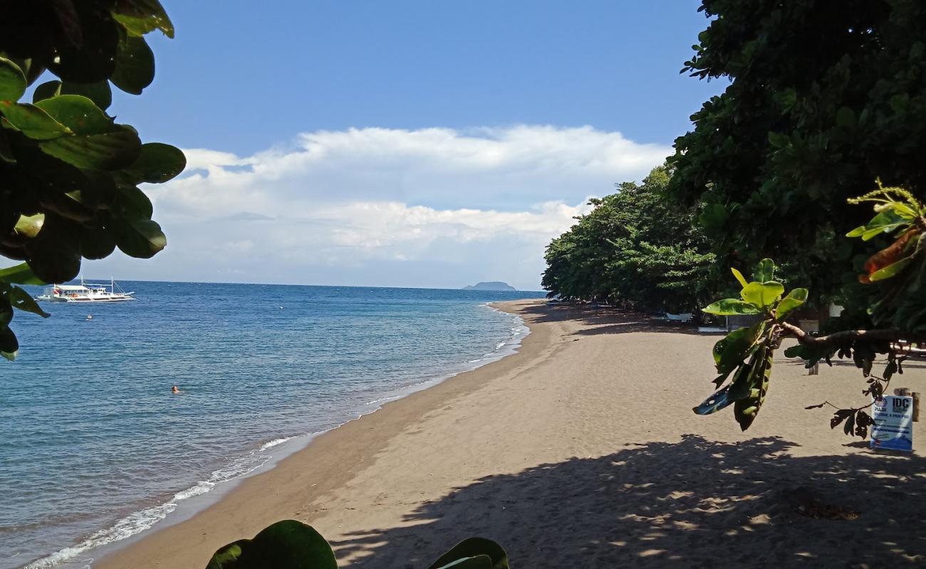 Photo de Poblacion Beach avec sable lumineux de surface