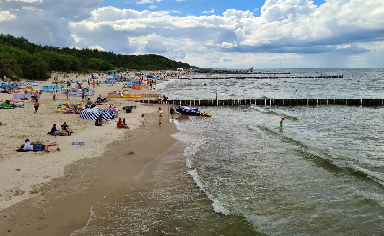 Photo de Sianozety Beach avec sable fin et lumineux de surface