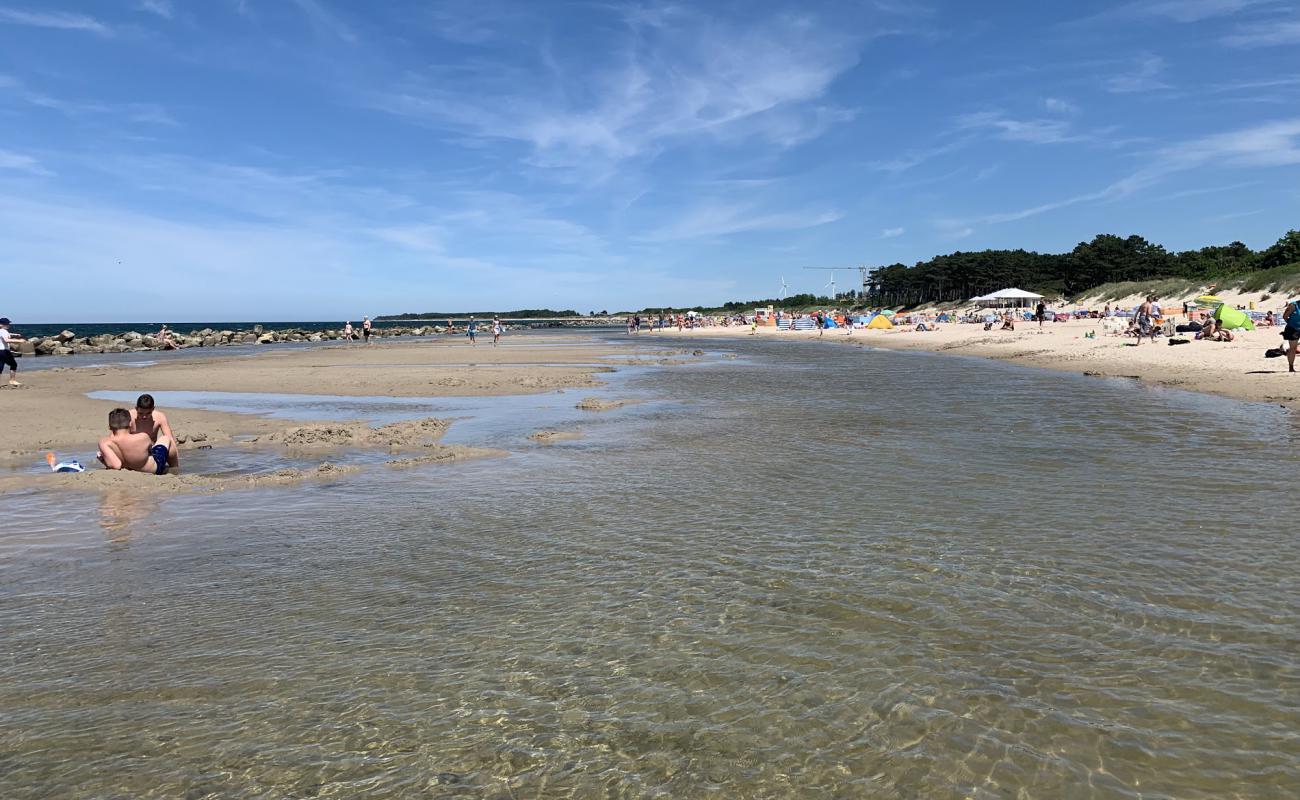 Photo de Darlwo Beach avec sable beige de surface