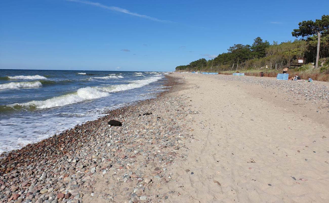 Photo de Wicie Plaża avec sable beige & galets de surface