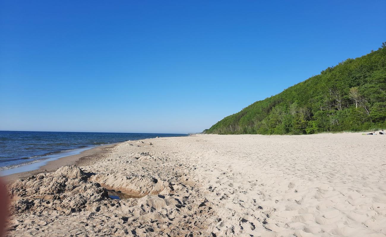 Photo de Poddabie Beach avec sable lumineux de surface