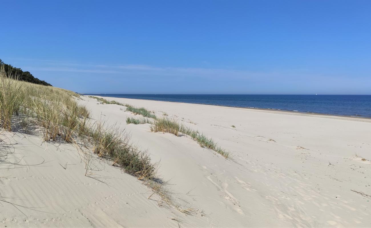 Photo de Mierzeja Sarbska beach avec sable lumineux de surface