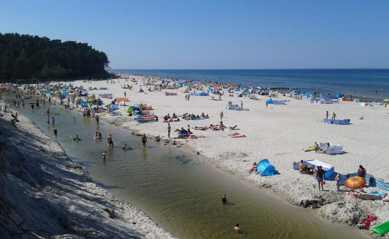 Photo de Pyasnitsa Beach (nr 25) avec sable fin et lumineux de surface