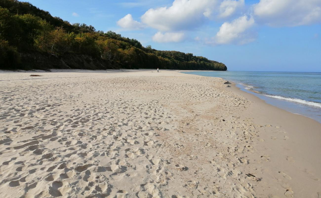 Photo de Plaża Rozewie avec sable beige fin de surface