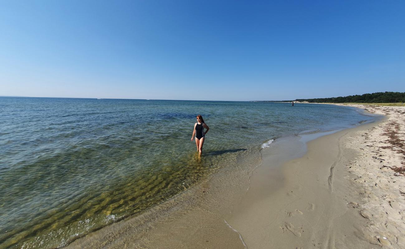 Photo de Navy Base beach avec sable fin et lumineux de surface