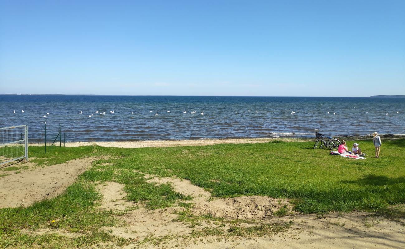 Photo de Dzika Beach avec sable gris de surface