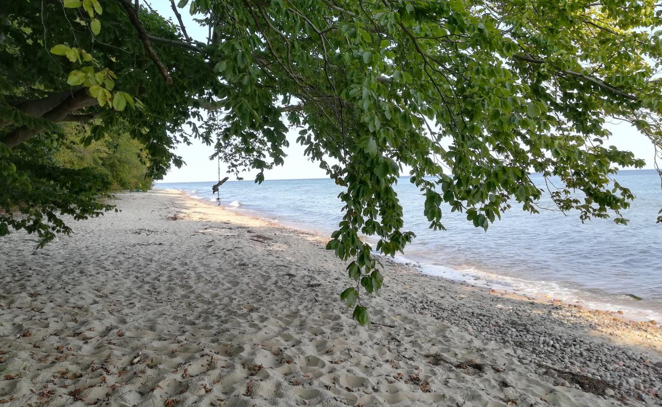 Photo de Gdynia Beach avec sable clair avec caillou de surface