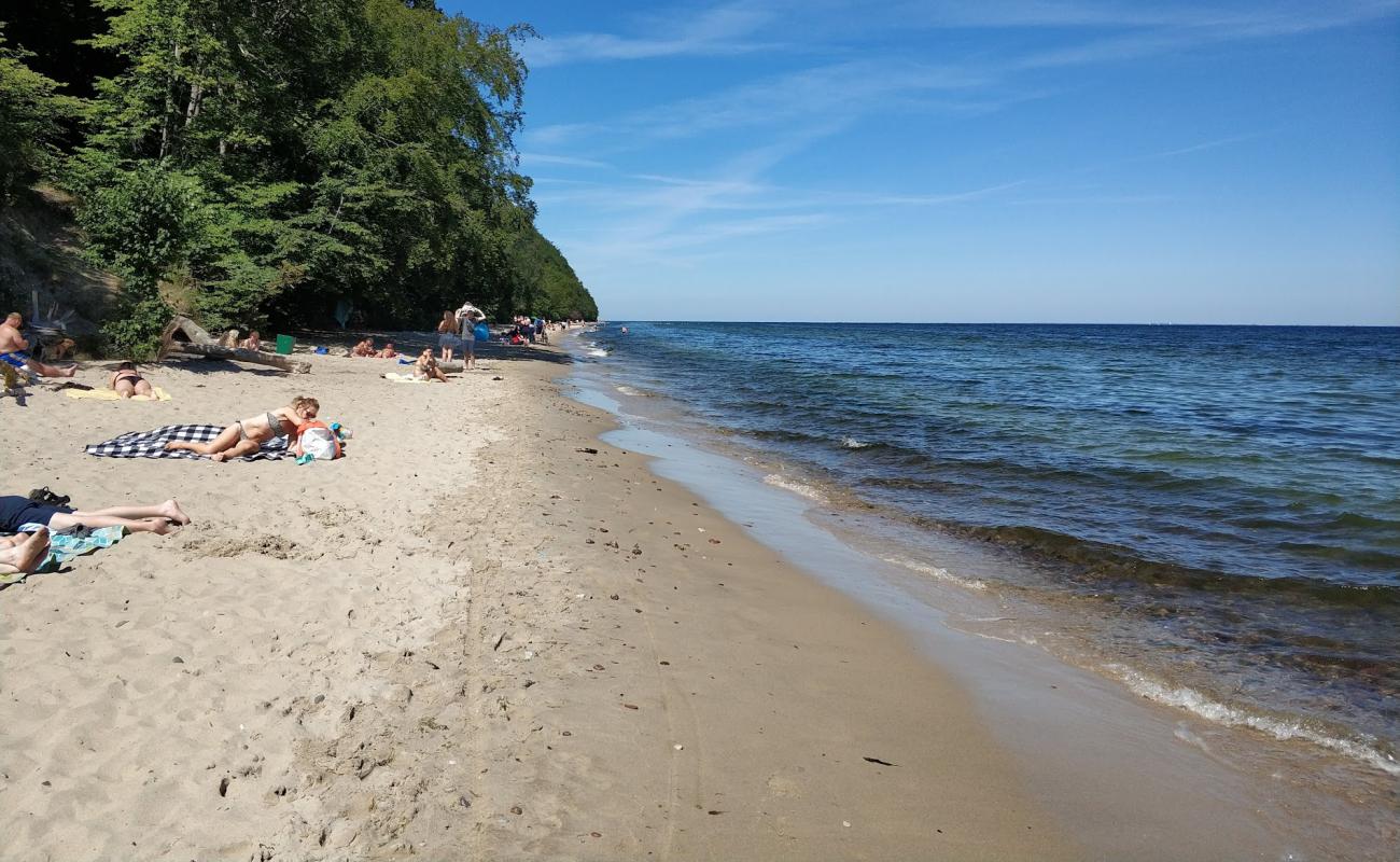 Photo de Oksywie beach avec sable lumineux de surface