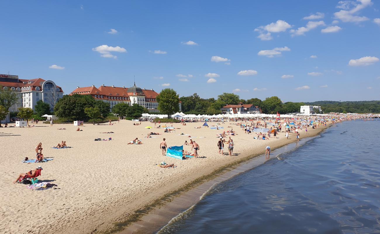 Photo de Plaza Sopot avec sable beige fin de surface
