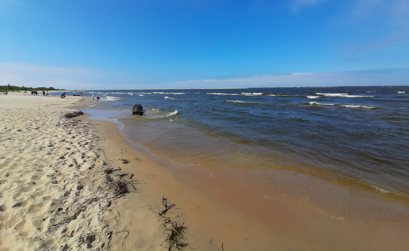 Photo de Mikoszewo Beach avec sable lumineux de surface