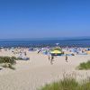 Beach at the Fishing Port