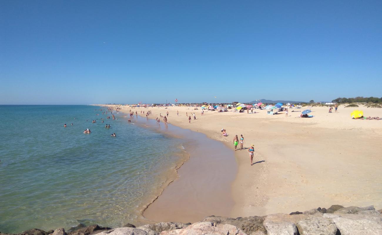 Photo de Plage de l'île de Tavira avec sable fin et lumineux de surface