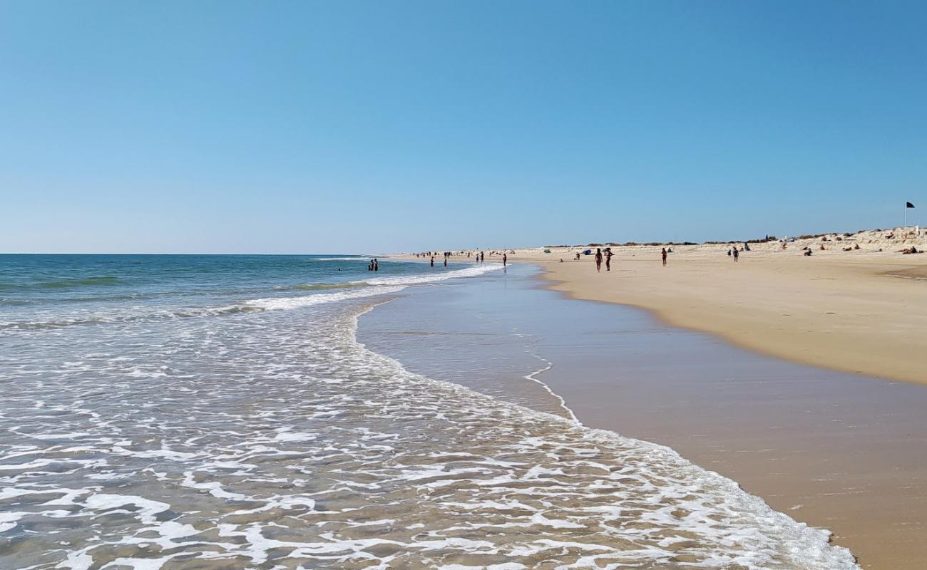 Photo de Plage de Barril avec sable fin blanc de surface