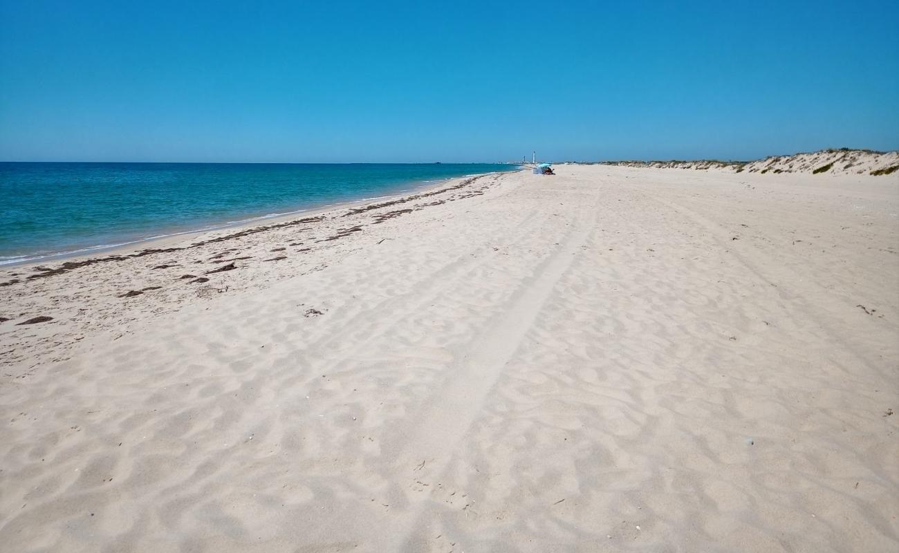 Photo de Ilha da Culatra avec sable fin et lumineux de surface