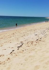 Ilha do Farol
